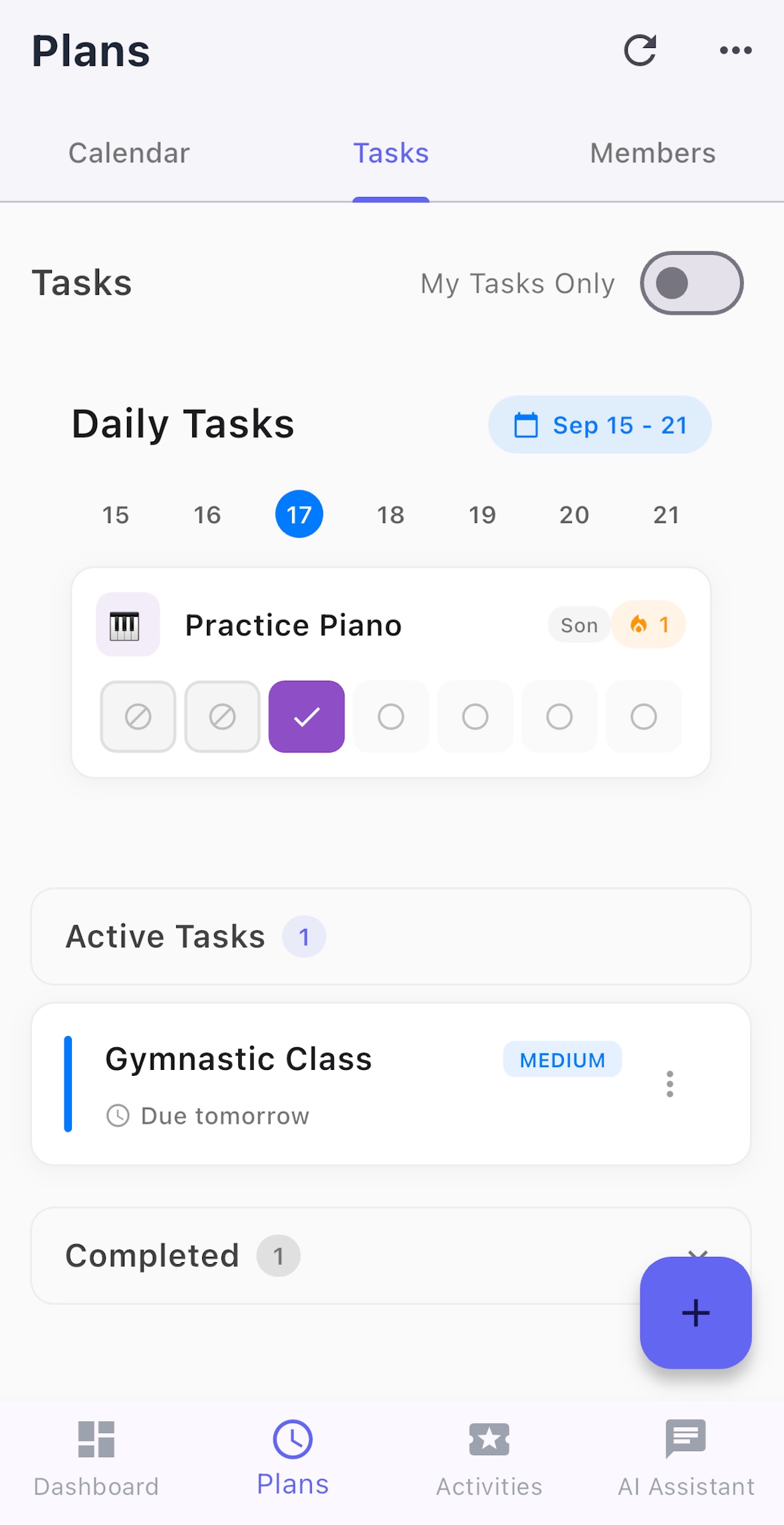 Daily Task Tracking Interface